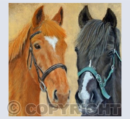 horses