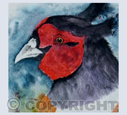 pheasant