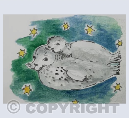 Solstice seals