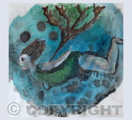 sea Oak 