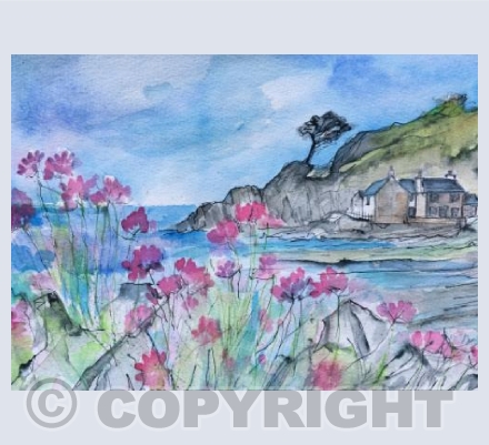 Sea thrift at Lee Bay
