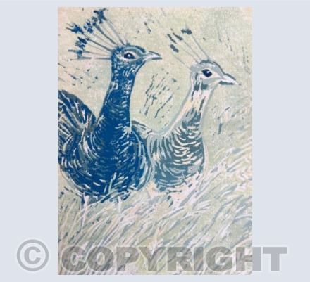 Mr and Mrs Peacock