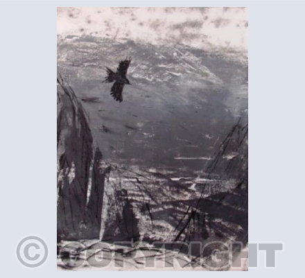 Low tide leap, Barricane 