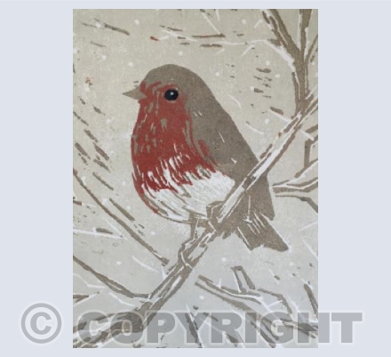 Robin 