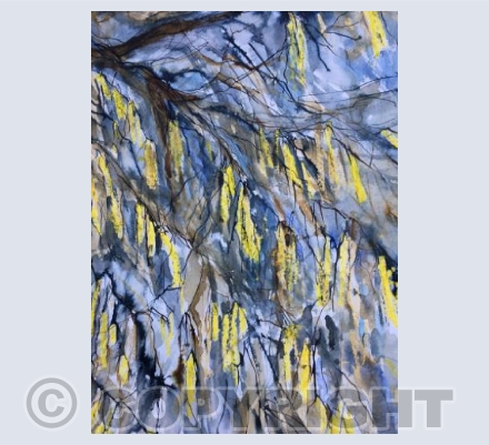 Catkins