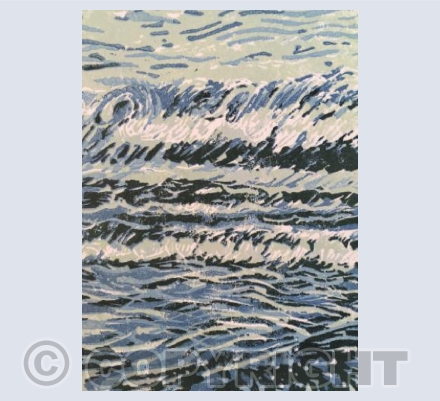 Woolacombe waves 