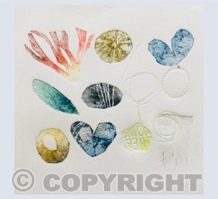 Shells, pebbles and plastics 