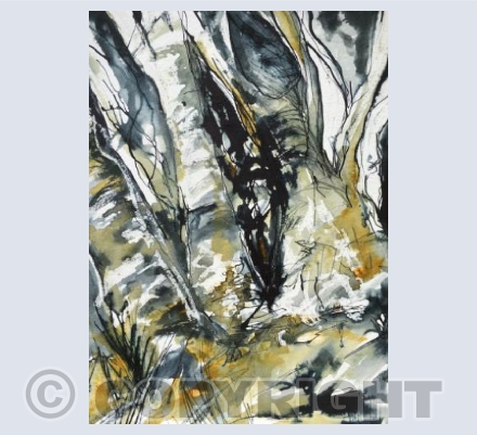 Exmoor trees