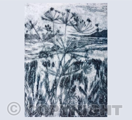 Woolacombe from Marine drive 