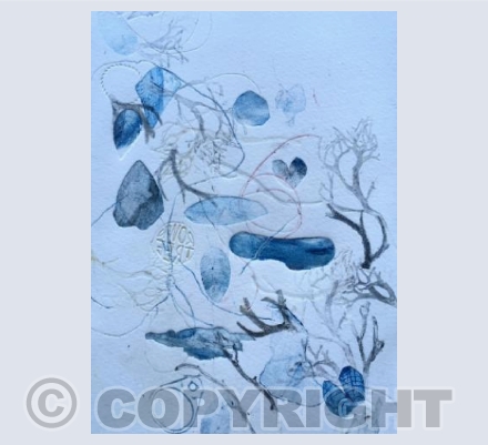 Beachcomber, blue shades