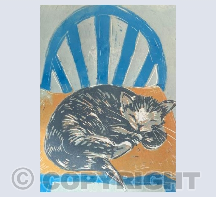 Betty sleeping on the blue chair 