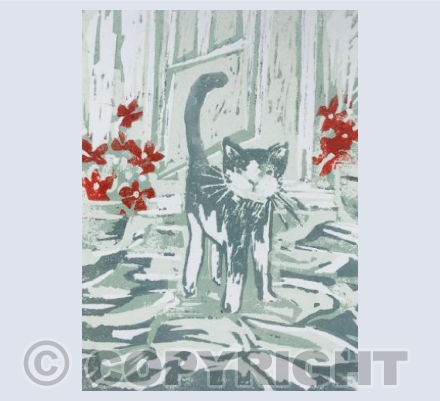 Betty and the geraniums 