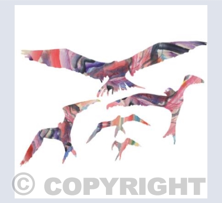 Birds in Flight