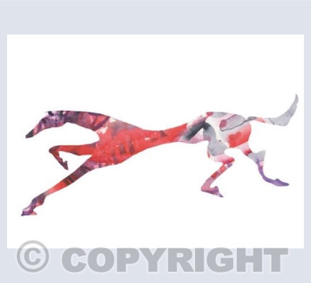 Racing Horse