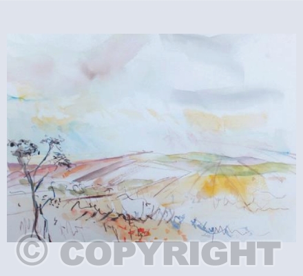 The Drovers Road