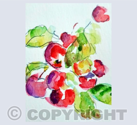Cherries in the Sunshine