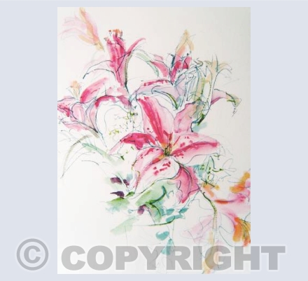 Pink Stargazer Lilies