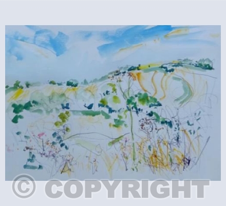 Cotswold View from St. Martin's