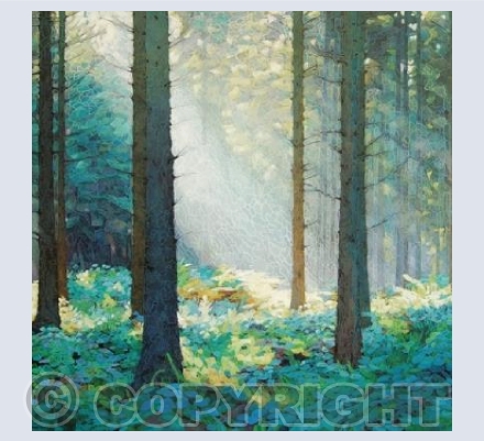 Forest Dawn 4