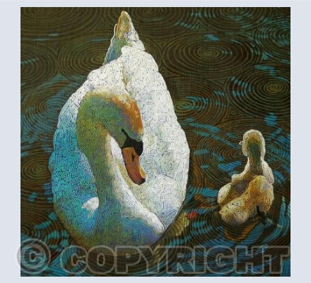 Mother & Cygnet