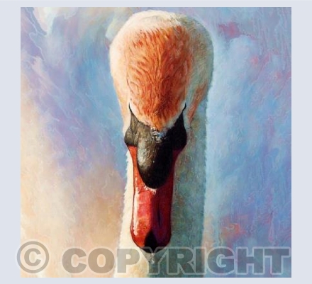 Mute Cob