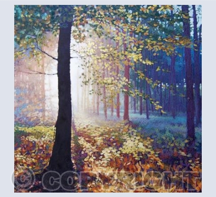 Forest Dawn 2