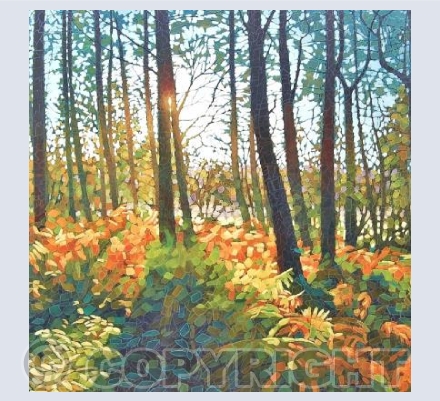 Bracken Wood