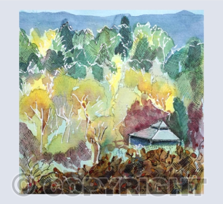 Caerphilly Mountain autumn