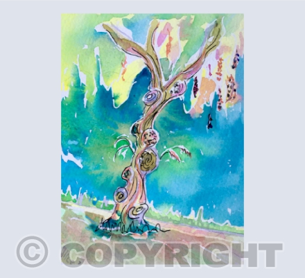 Pepper tree, Portugal