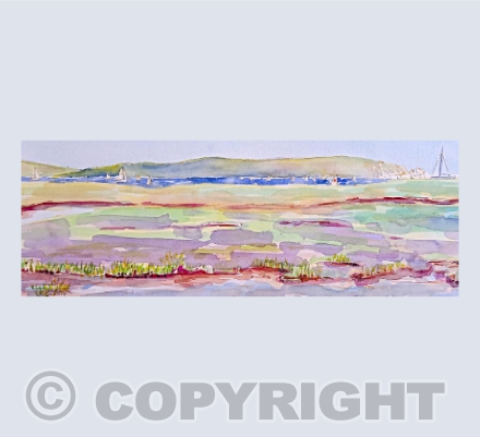Sea lavender, Hampshire
