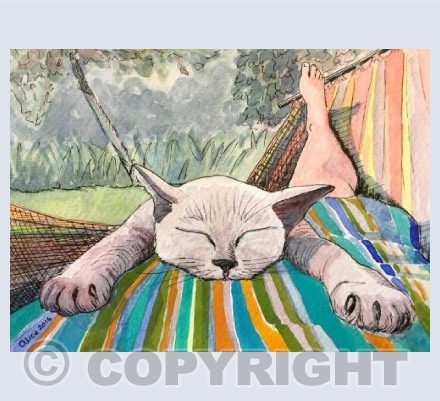 Summer in the Hammock