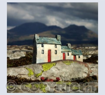 Y Moelwynion ~ The Moelwynion 