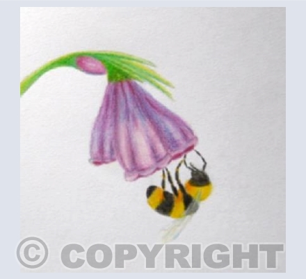 'Bee'