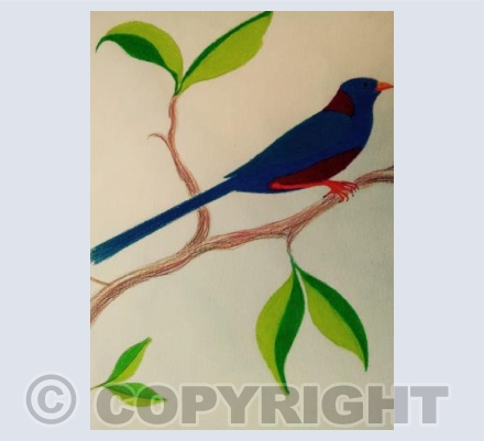 Bird Three