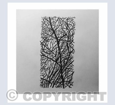 Tree lines 