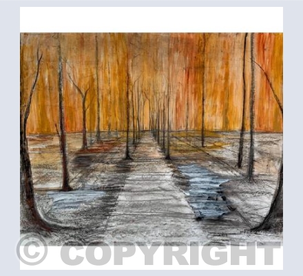 Mixed media pathway 