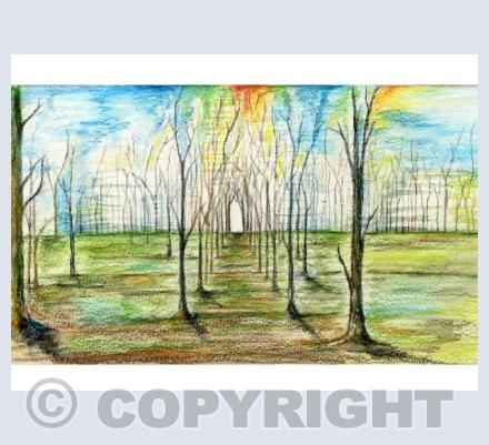 Multi-coloured pathway 