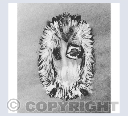 Hedgehog drinking tea