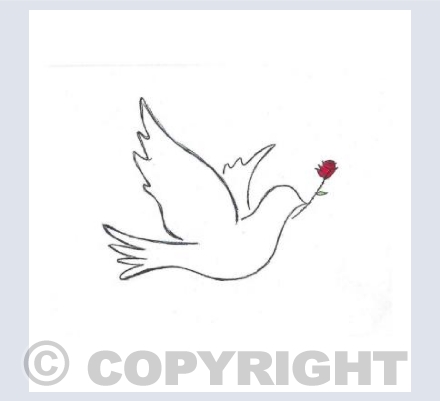 Valentine's Day Dove with a Rose