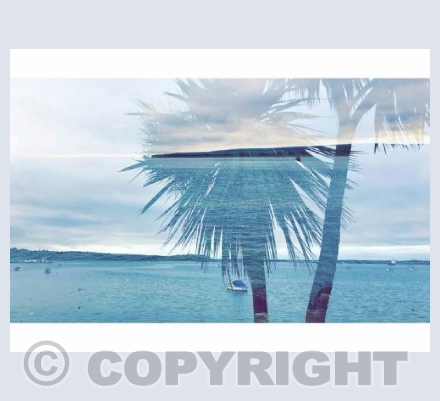 Sandbanks beauty 