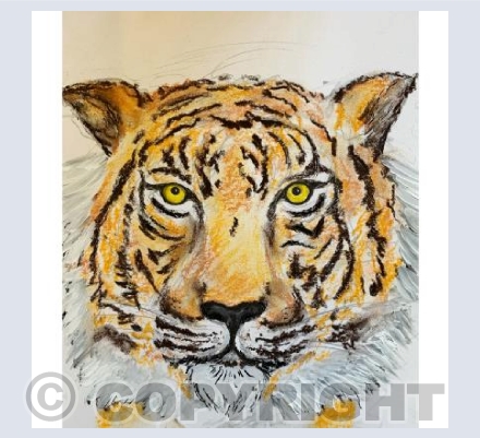 Tigerrrr