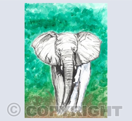 The Beautiful African Elephant 