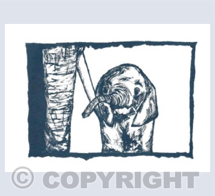 Baby elephant asking for Mummy's attention 