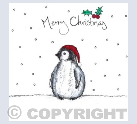 Norman the Baby Penguin says Merry Christmas!