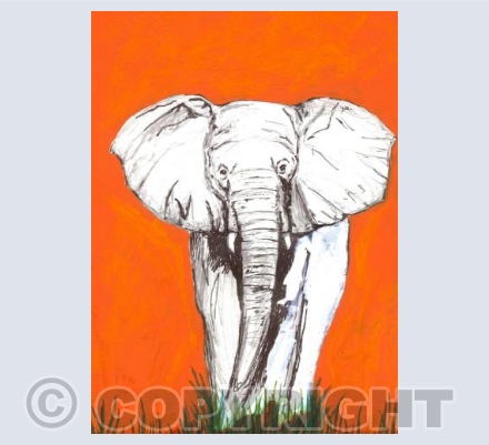 Orange Elephant 