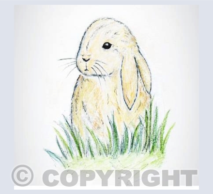 Some bunny loves you 