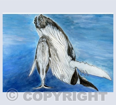 Lovely moment between a Blue Whale mother & calf 