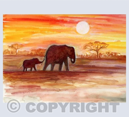 Elephants wondering the African Plains...