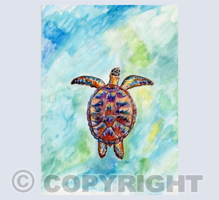 Save The Turtles 