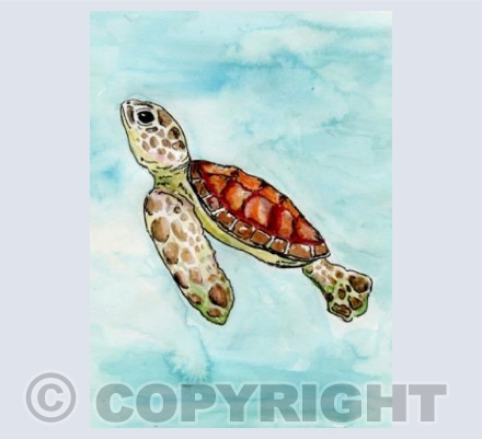 Baby cartoon turtle 